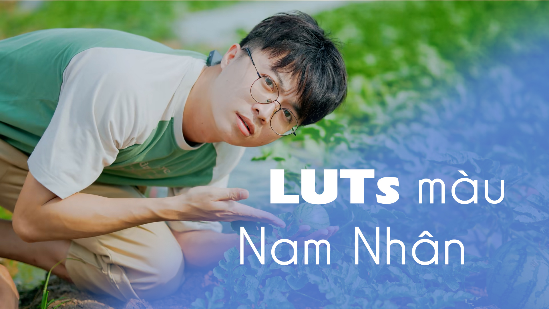 LUTs màu Nam Nhân ( tặng kèm 100 LUTs Hollywood trị giá 21 USD ~ 500.000đ )